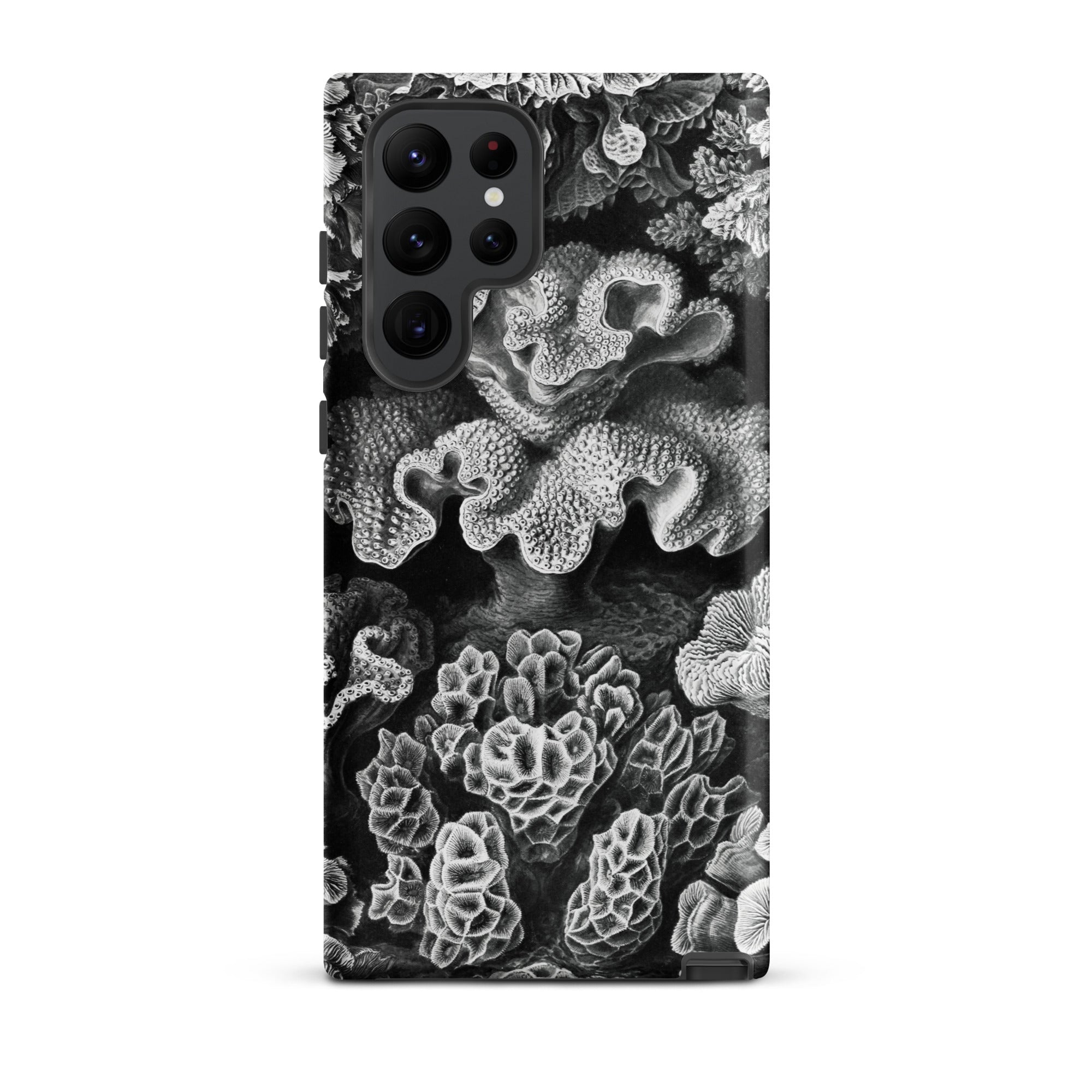 Hexacoralla Six Rayed Star Corals Ernst Haeckel Samsung Case, Galaxy S22 Ultra / Matte, Black White Patterned Phone Case Intricate Coral