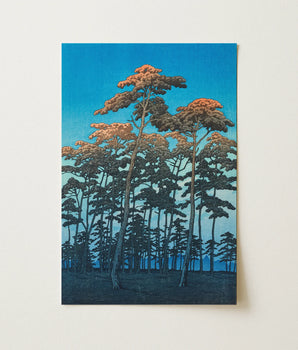 Rectangular Art Print Tall Pine Trees Dark Green Hikawa Park, Omiya Shrine Precinct, Arboreal Silhouettes Guard, Kawase Hasui, Fixes