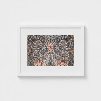 Honeysuckle - William Morris Floral Art Print / Canvas Morris’s Botanical, Wonderland, Decorative Prints