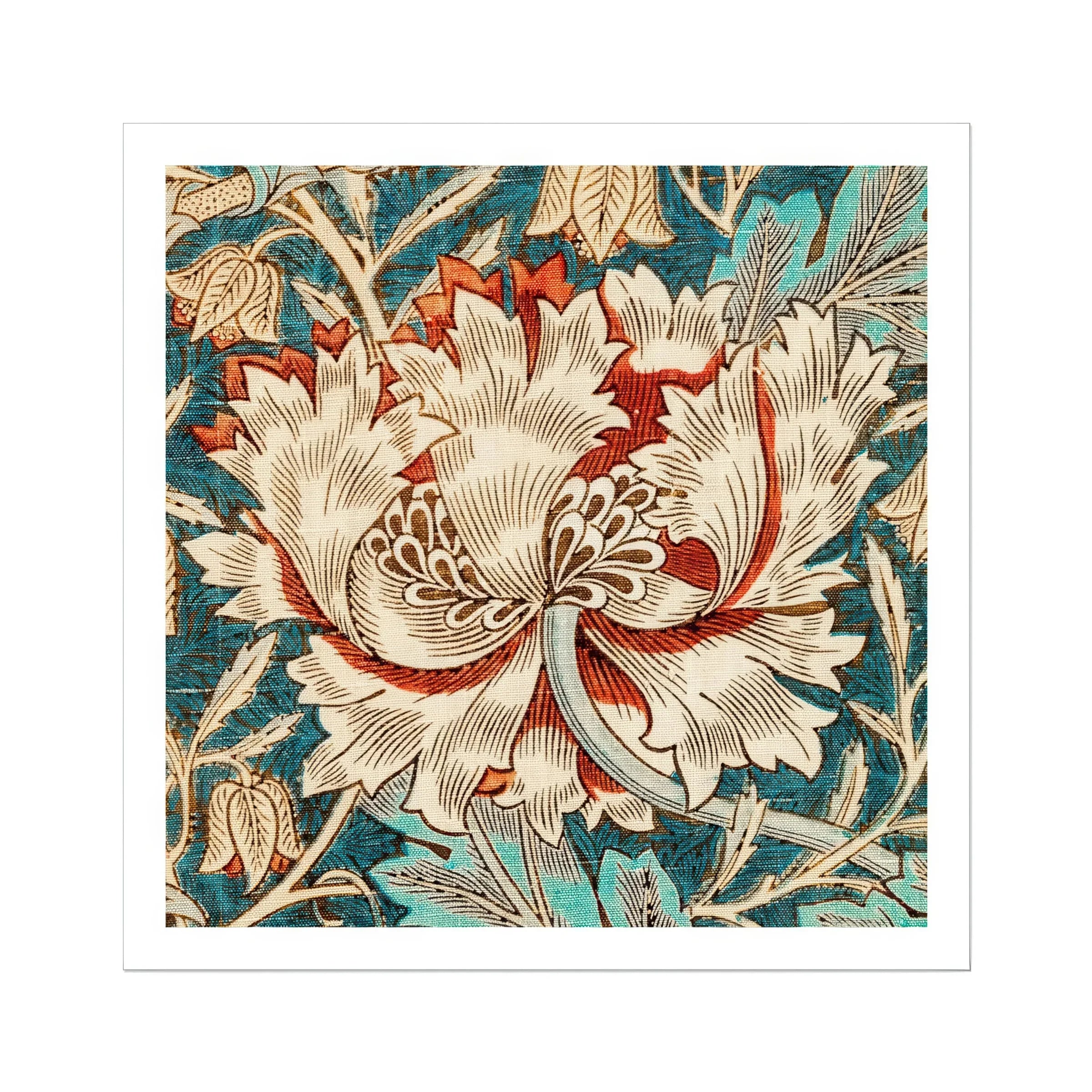 Honeysuckle William Morris Floral Art Print, Ornate White Red Peony Flower Detailed Decorative Petals