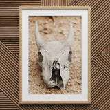 Horned Skull Art Print, 20x30’’ / 51x76cm / Natural Frame / 2’’ Matboard, Framed Photo Print Horned Animal Skull