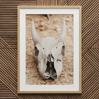 Horned Skull Art Print, 20x30’’ / 51x76cm / Natural Frame / 2’’ Matboard, Framed Photo Print Horned Animal Skull