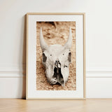 Horned Skull Art Print / Canvas, 12x18’’ / 31x46cm / Natural Frame / Matboard, Posters Prints & Visual Artwork, Toby Leon