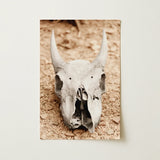 Horned Skull Art Print / Canvas Weathered Off-white Animal Prominent Horns Rests Bed, Bleached Bone Rises, Ancient Questions Left Prints