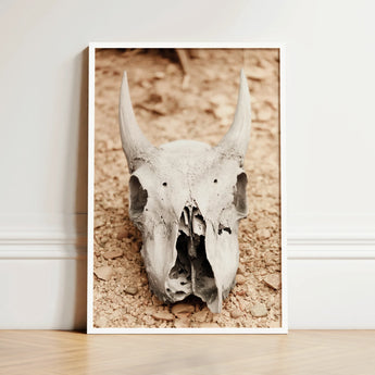 Framed Black-and-white Photograph Weathered Horned Animal Skull Gravel Art, Bleached Bone Rises, Ancient Questions Left