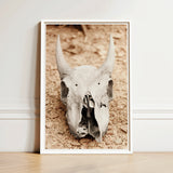 Framed Photograph Weathered Off-white Animal Skull Prominent Horns Horned Art, Bleached Bone Rises, Ancient Questions Left