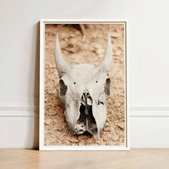 Framed Photograph Weathered Off-white Animal Skull Prominent Horns Horned Art, Bleached Bone Rises, Ancient Questions Left