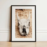 Horned Skull Art Print / Canvas Black-framed Art Print Detailed Off-white Animal Skull Prominent Horned Art, Bleached Bone Rises, Ancient