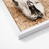 Framed Artwork Weathered Grayish-white Animal Skull Textured Beige Horned Art, Bleached Bone Rises, Ancient Questions Left