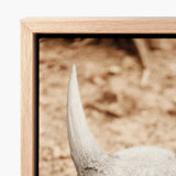 Framed Canvas Print Close-up White Rhinoceros Horn Textured Horned Skull Art, Bleached Bone Rises, Ancient Questions Left