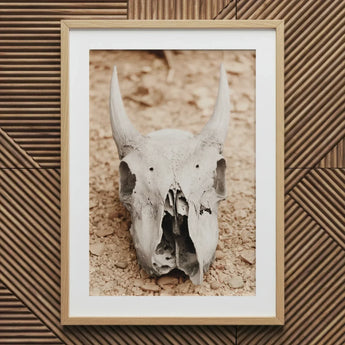 Horned Skull Art Print / Canvas Framed Photo Print Horned Animal Skull Art, Bleached Bone Rises, Ancient Questions Left