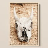 Horned Skull Art Print / Canvas Framed Photograph Weathered Off-white Animal Skull Prominent Horns Horned Art, Bleached Bone Rises, Ancient