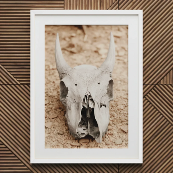 Horned Skull Art Print / Canvas White-framed Print Weathered Animal Skull Horned Art, Bleached Bone Rises, Ancient Questions Left