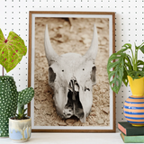Horned Skull Art Print, Framed Photograph Animal Skull Horns Desert Ground