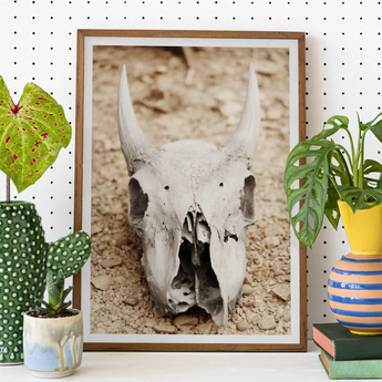 Horned Skull Art Print, Framed Photograph Animal Skull Horns Desert Ground
