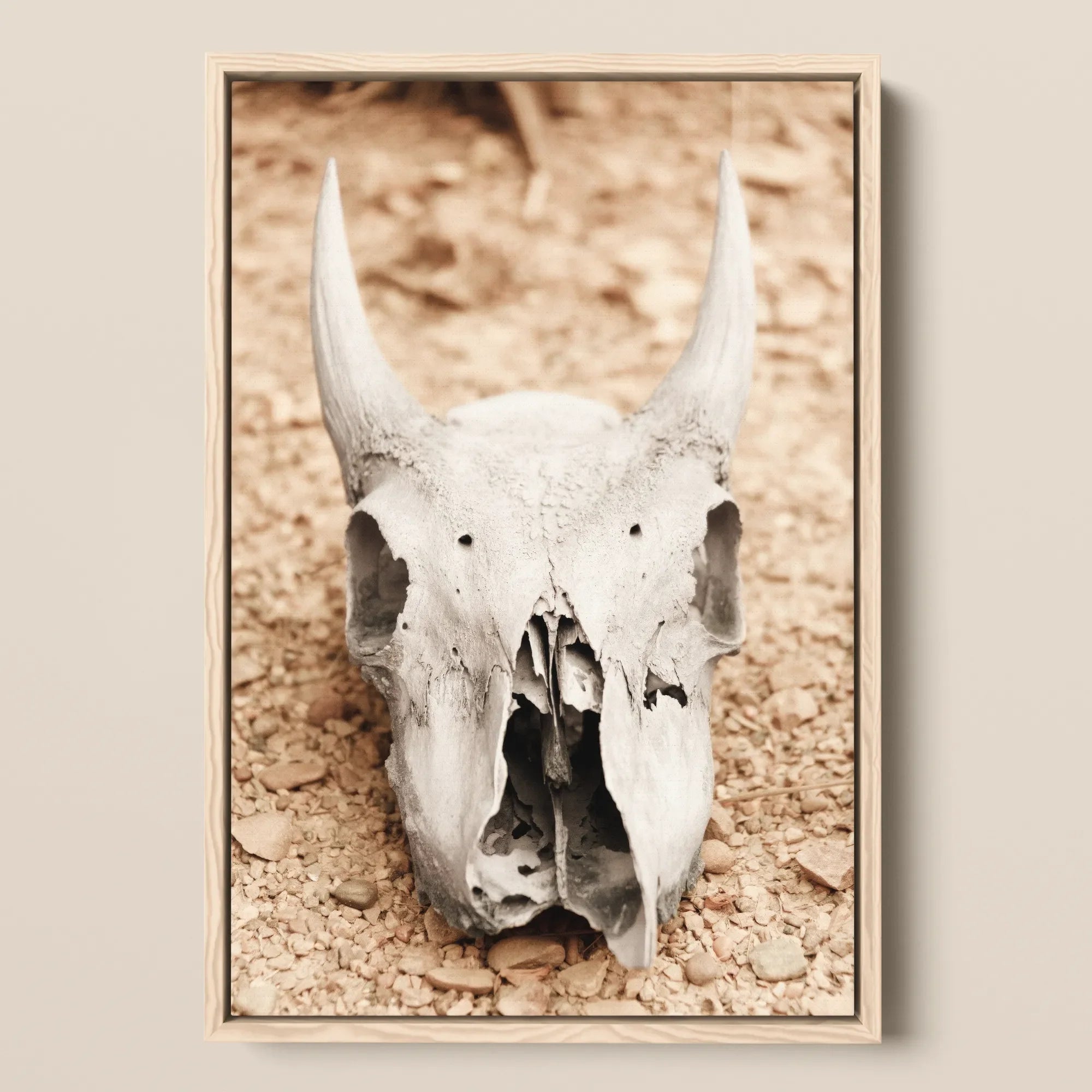Horned Skull Framed Canvas, 12x18’’ / 31x46cm / Natural Floating Frame, Bleached Animal Skull Horns Mounted Light Wooden Frame