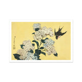 Hydrangea & Swallow - Hokusai Ukiyo-e Woodblock Art Print / Canvas White Hydrangea Flowers Green Leaves Black Swallow Flight Ukiyo-e
