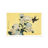 Hydrangea & Swallow - Hokusai Ukiyo-e Woodblock Art Print, White Hydrangea Flowers Green Leaves Black Swallow Flight
