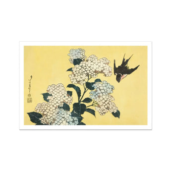 Hydrangea & Swallow - Hokusai Ukiyo-e Woodblock Art Print, White Hydrangea Flowers Green Leaves Black Swallow Flight