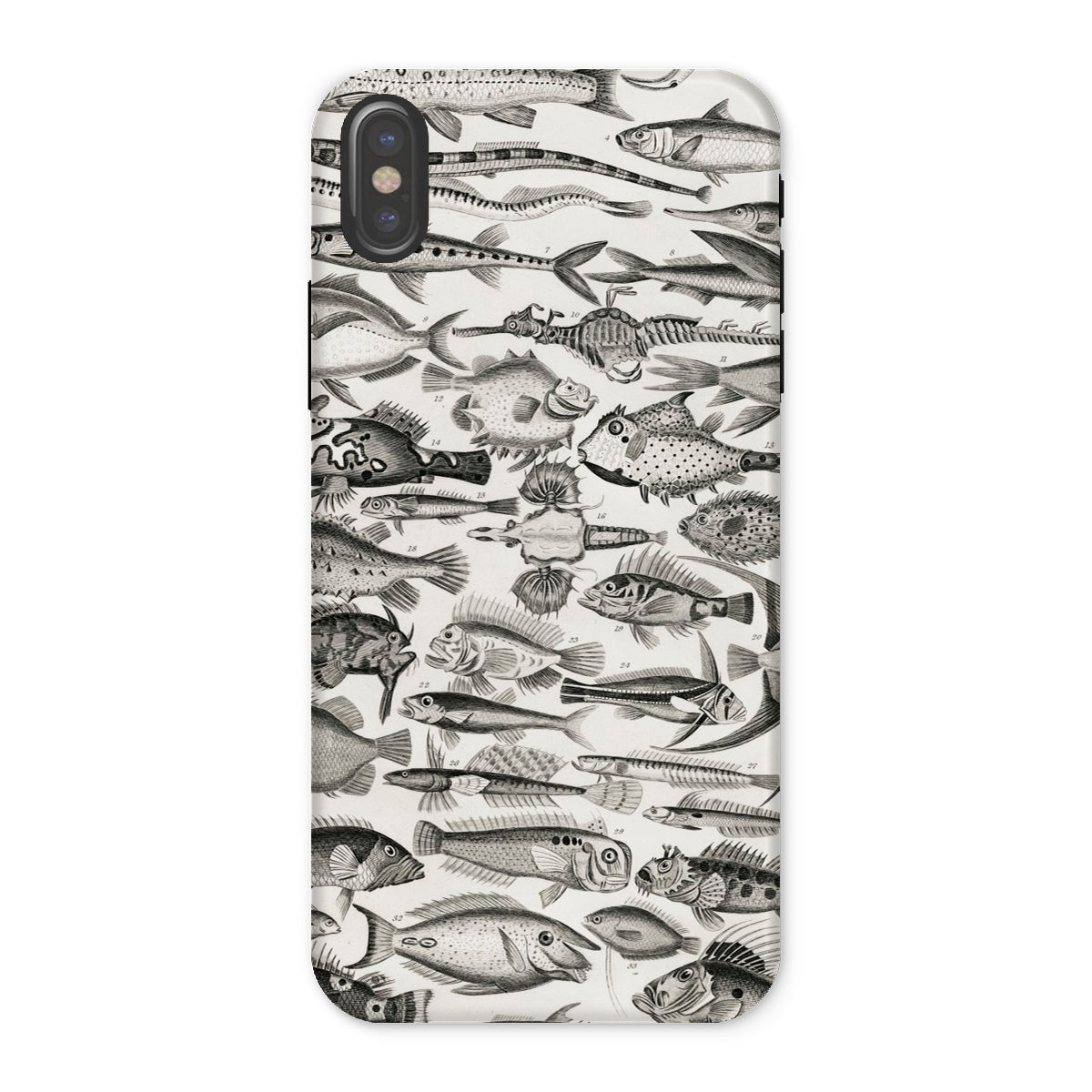 Ichthyology Oliver Goldsmith Iphone Case, x / Matte, Fish Patterned Phone Case