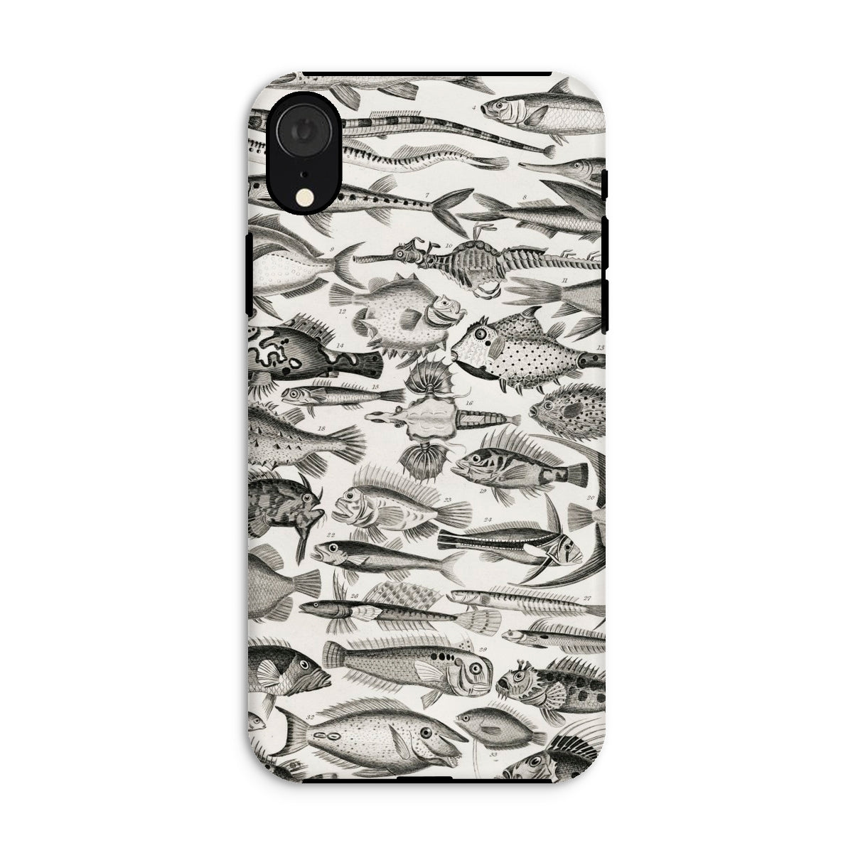 Ichthyology Oliver Goldsmith Iphone Case, Xr / Matte, Fish Patterned Phone Case