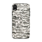 Ichthyology Oliver Goldsmith Iphone Case, Xr / Matte, Fish Patterned Phone Case