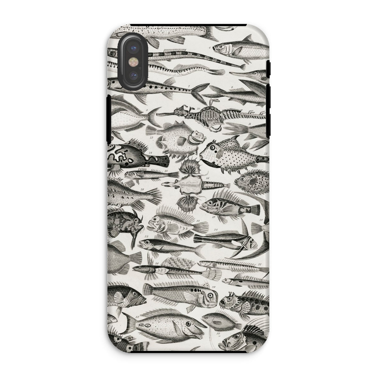 Ichthyology Oliver Goldsmith Iphone Case, Xs / Matte, Fish Patterned Phone Case