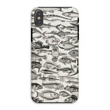 Ichthyology - Oliver Goldsmith Iphone Case, Xs / Matte, Fish-patterned Phone Case