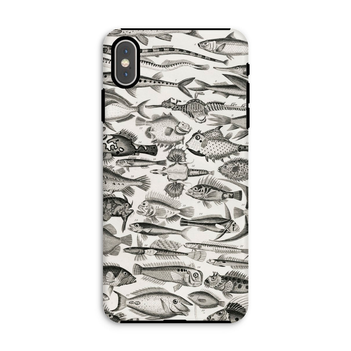 Ichthyology Oliver Goldsmith Iphone Case, Xs Max / Matte, Fish Patterned Phone Case