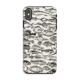 Ichthyology - Oliver Goldsmith Iphone Case, Xs Max / Matte, Fish-patterned Phone Case