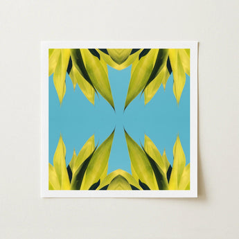 In Bloom - Modern Succulent Photography Art Print / Canvas Square-framed Symmetrical Kaleidoscopic Pattern Vibrant Yellow-green