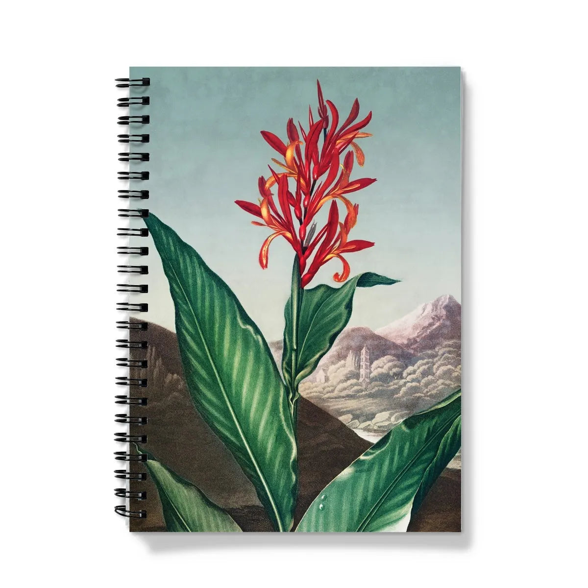 Indian Reed - Robert John Thornton Canna Indica Notebook - A5 / Graph - Notebooks & Notepads - Aesthetic Art
