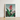 Framed Botanical Illustration Vibrant Red Orange Flower Long Robert John Thornton, Chlorophyll-fueled Fever Dream, Canna Indica Art