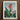 Framed Botanical Illustration Vibrant Red Orange Flower Long Robert John Thornton, Chlorophyll-fueled Fever Dream, Canna Indica Art