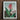Framed Botanical Illustration Vibrant Red Orange Flower Long Robert John Thornton, Chlorophyll-fueled Fever Dream, Canna Indica Art