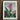 Framed Botanical Illustration Vibrant Red Orange Flower Long Robert John Thornton, Chlorophyll-fueled Fever Dream, Canna Indica Art