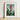 Framed Botanical Illustration Vibrant Red Orange Flower Lush Robert John Thornton, Chlorophyll-fueled Fever Dream, Canna Indica Art
