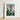 Framed Botanical Illustration Vibrant Red Orange Flower Lush Robert John Thornton, Chlorophyll-fueled Fever Dream, Canna Indica Art