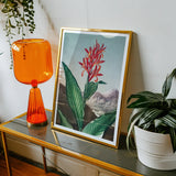 Indian Reed - Robert John Thornton Floral Art Print / Canvas Framed Botanical Print Red Tropical Flower Green Leaves Robert John Thornton,