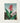 Vibrant Red Orange Flower Long Green Leaves Depicted Robert John Thornton, Chlorophyll-fueled Fever Dream, Canna Indica Art