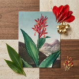 Indian Reed - Robert John Thornton Floral Art Print / Canvas Vibrant Red Orange Ginger Flower Illustration Printed Rectangular Robert John