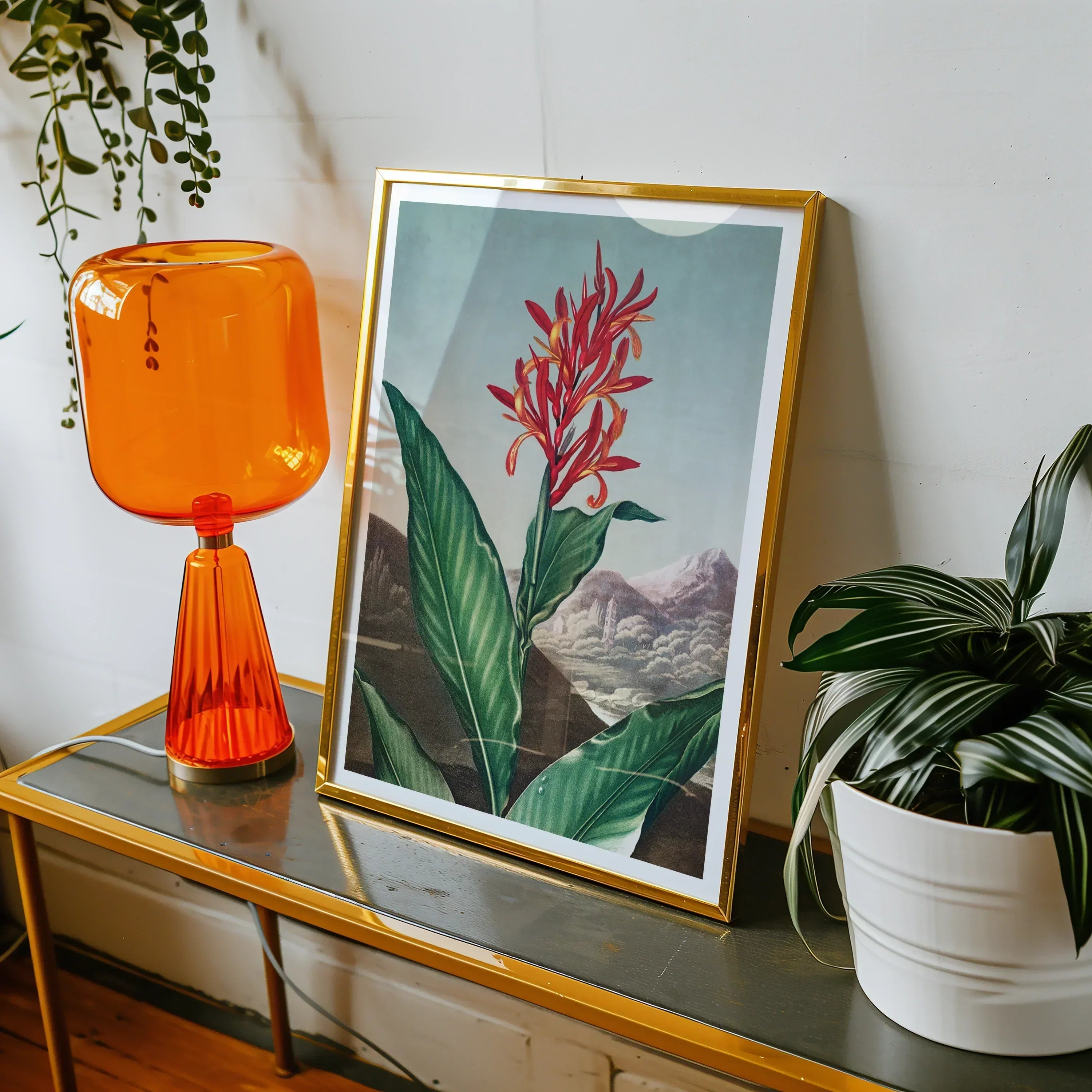 Indian Reed Robert John Thornton Floral Art Print, Framed Botanical Print Red Tropical Flower Green Leaves