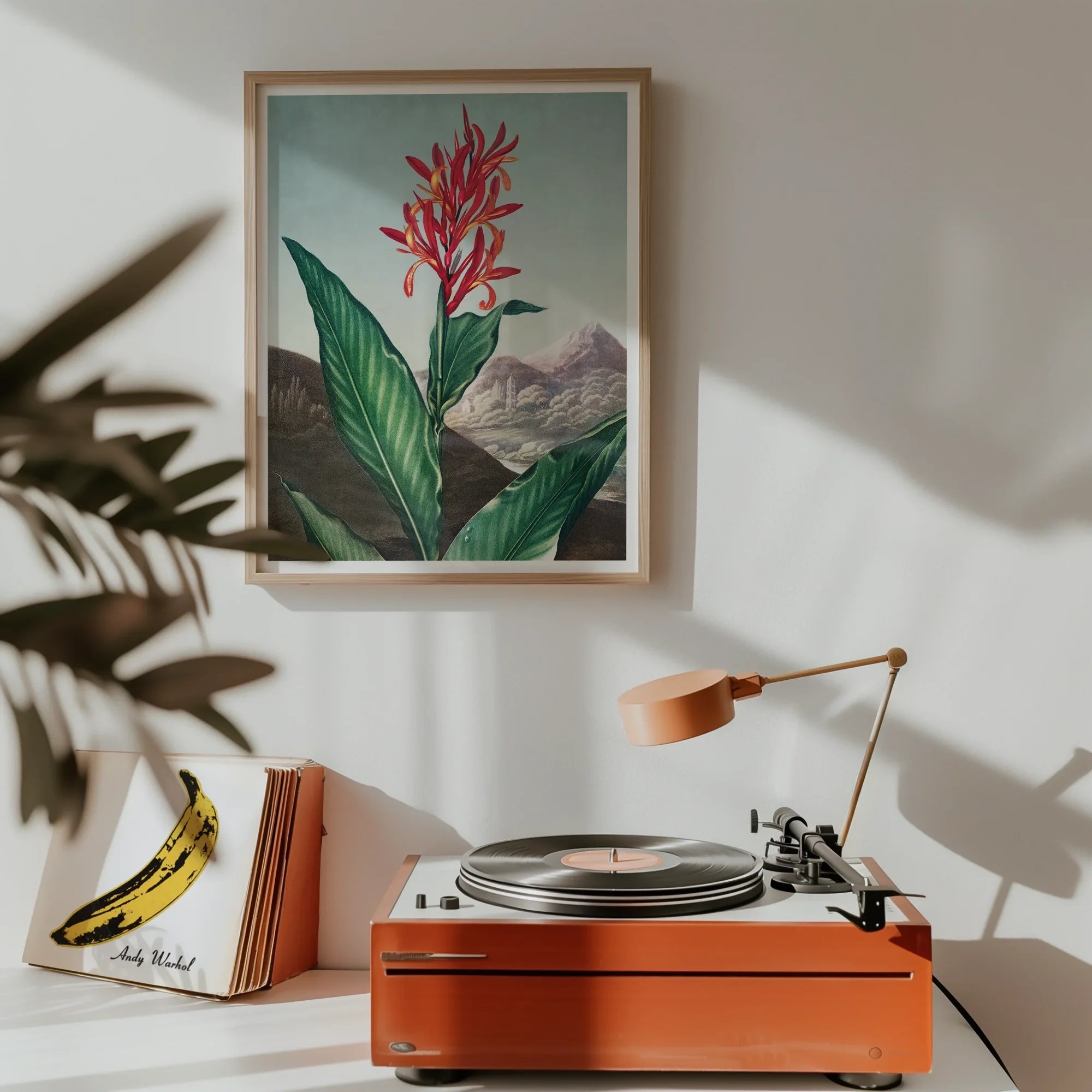 Indian Reed - Robert John Thornton Floral Art Print, Orange Record Player Desk Lamp Attached