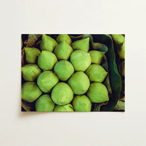 Ingenues - Emerald Green Lotus Bud Art Print / Canvas, 16x12’’ / 41x31cm / Unframed / no Border, Posters Prints & Visual Artwork, Toby Leon