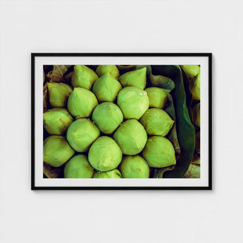 Ingenues - Emerald Green Lotus Bud Art Print / Canvas, Verdant Vortex, Prints