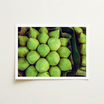 Ingenues - Emerald Green Lotus Bud Art Print / Canvas, Verdant Vortex, Prints