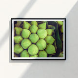Framed Photograph Close-up Fresh Light Green Lotus Buds Emerald, Verdant Vortex, Bud
