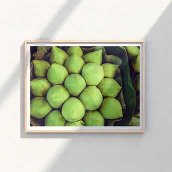 Framed Photograph Close-up Fresh Vibrant Green Lotus Buds Emerald, Verdant Vortex, Bud