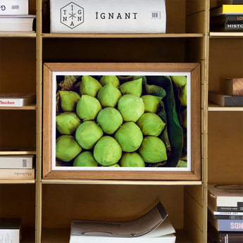 Ingenues - Emerald Green Lotus Bud Art Print / Canvas Framed Photograph Bright Green Limes Arranged Emerald Lotus, Verdant Vortex, Lotus Bud