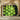 Fresh Green Pears Arranged Neatly Wooden Crate Emerald Lotus, Verdant Vortex, Bud
